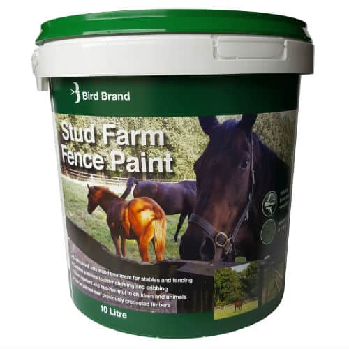 stud farm fence paint horses chewing